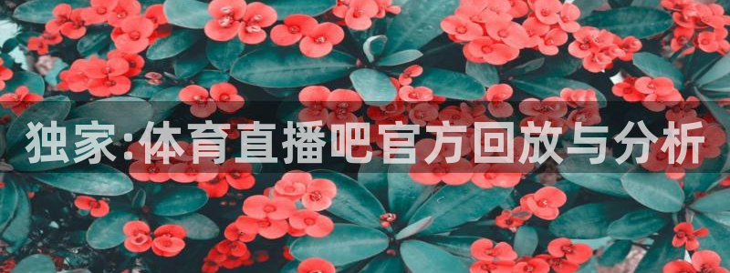 雨燕nba直播吧jrs直播