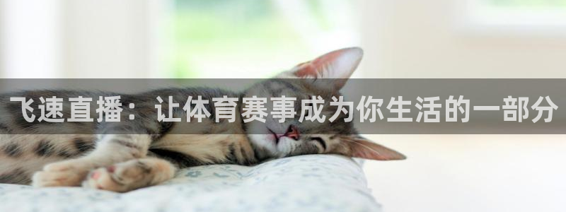 nba直播吧98篮球中文网