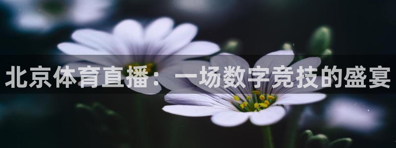 篮球直播在线直播观看免费直播吧