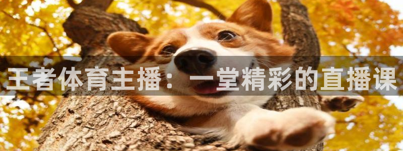 篮球nba直播吧