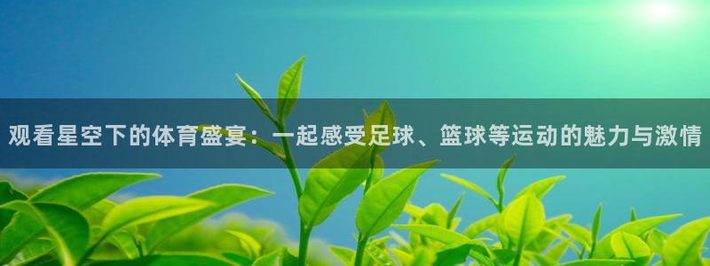 王者体育直播吧：观看星空下的体育盛宴：一起感受足球、篮球等运动的魅力与激情