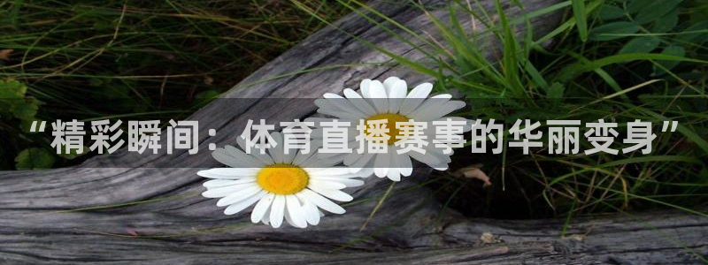 直播吧体育女神大赛a组赛果出炉：“精彩瞬间：体育直播赛事的华丽变身”