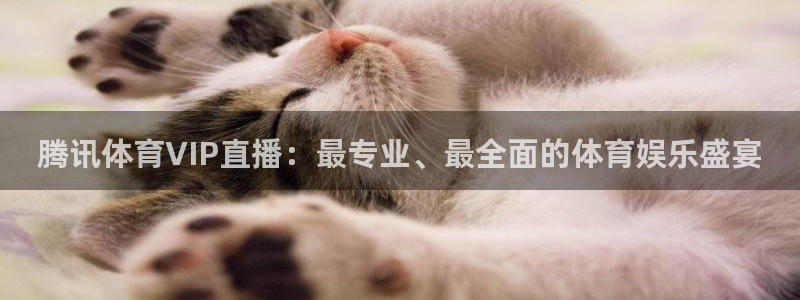 直播吧篮球直播在线观看：腾讯体育VIP直播：最专业、最全面的体育娱乐盛宴