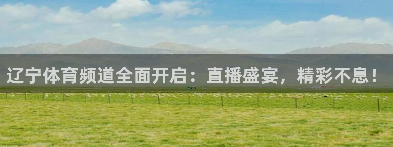 直播吧 nba：辽宁体育频道全面开启：直播盛宴，精彩不息！