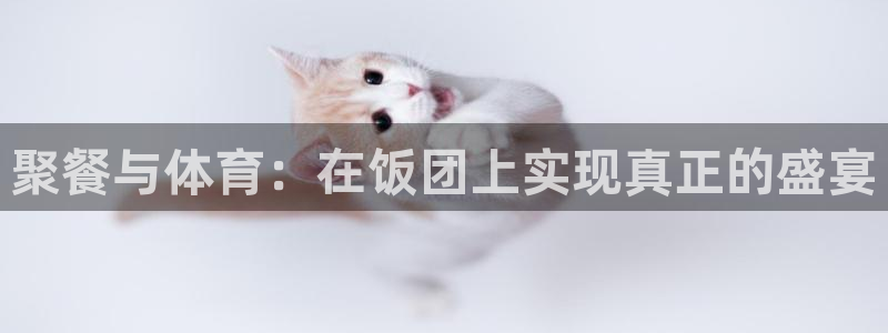 天天直播体育在线直播吧：聚餐与体育：在饭团上实现真正的盛宴