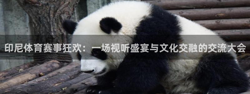 88看球网免费nba直播吧：印尼体育赛事狂欢：一场视听盛宴与文化交融的交流大会