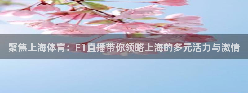88足球直播吧：聚焦上海体育：F1直播带你领略上海的多元活力与激情