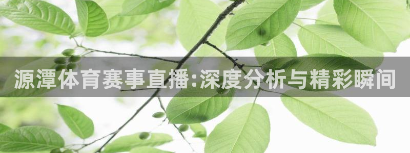 jrs直播直播吧：源潭体育赛事直播:深度分析与精彩瞬间